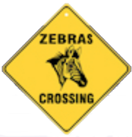 zebracrossing
